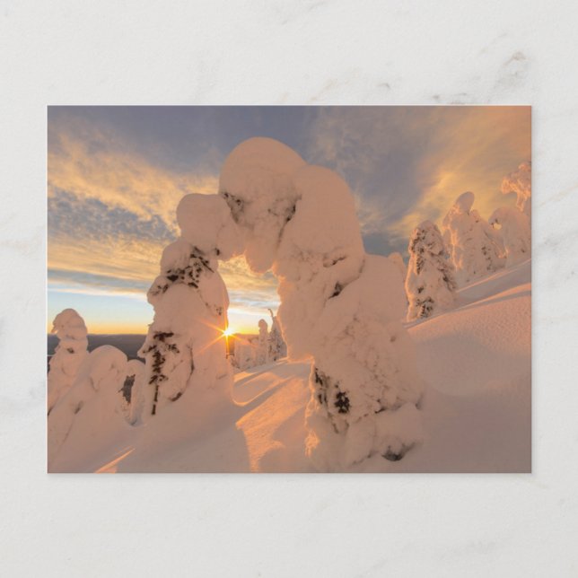 Schneeghost im Whitefish-Gebirge Postkarte (Vorderseite)