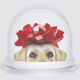 SCHNEEGLOBE MIT GELBEN LABRADOR RETRIEVER SCHNEEKUGELN