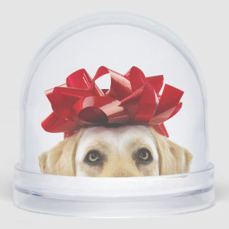 SCHNEEGLOBE MIT GELBEN LABRADOR RETRIEVER SCHNEEKUGELN