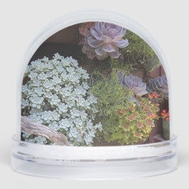 Schneeglobe Schneekugeln