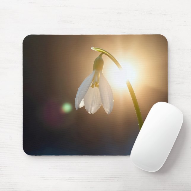 Schneeglöckchen mit Tautropfen im Sonnenlicht Mousepad (Mit Mouse)