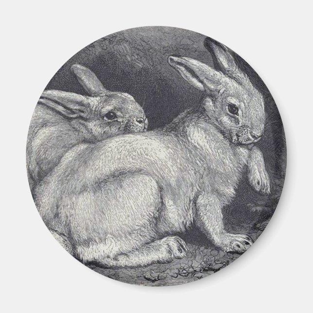 Schneehasen Magnet (Vorne)