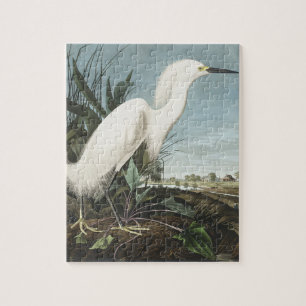 Schneeheron oder Weißer Egret von Vögeln Amerika Puzzle