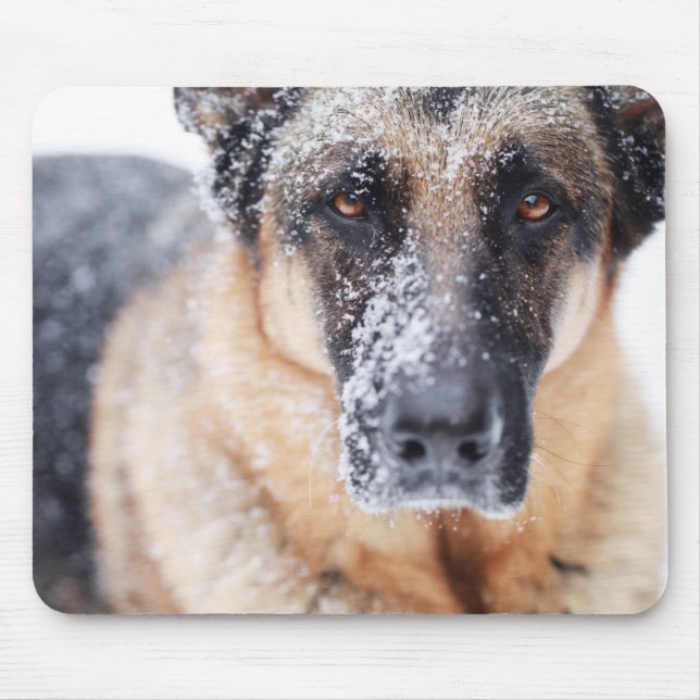 Schneehirte Mousepad (Vorne)