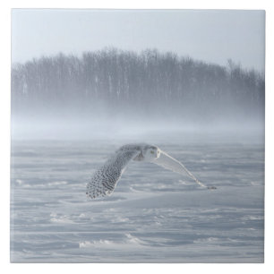 Schneehühner fliegen im Winter Fliese