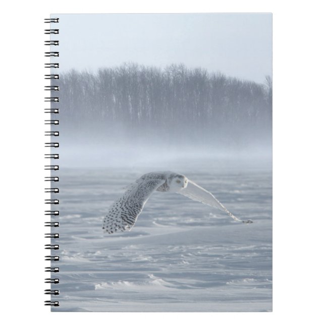 Schneehühner fliegen im Winter Notizblock (Vorderseite)