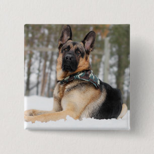 Schneehund Button