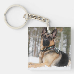 Schneehund Schlüsselanhänger
