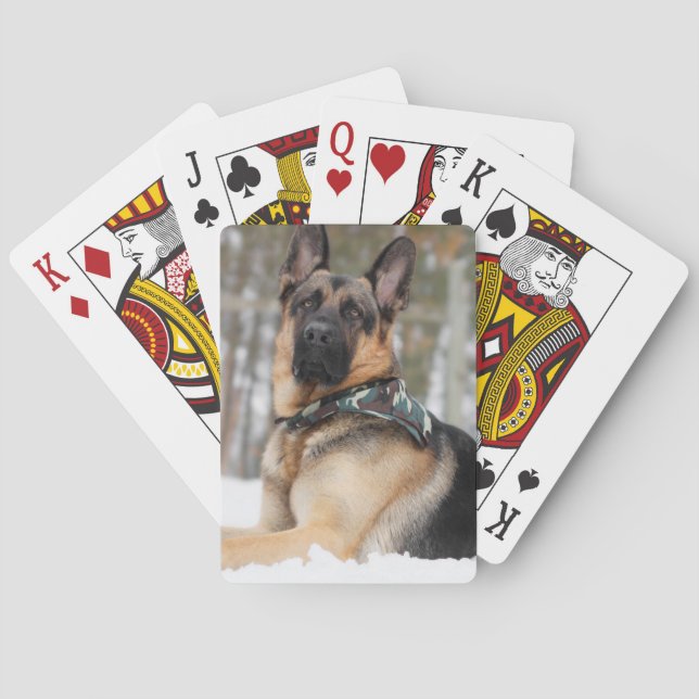 Schneehund Spielkarten (Rückseite)