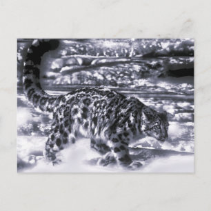 Schneejäger 3 postkarte