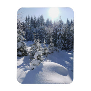 Schneekalte Winterlandschaft 2 Magnet
