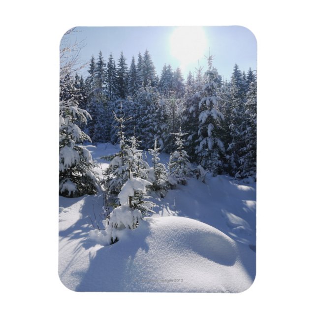 Schneekalte Winterlandschaft 2 Magnet (Vertikal)