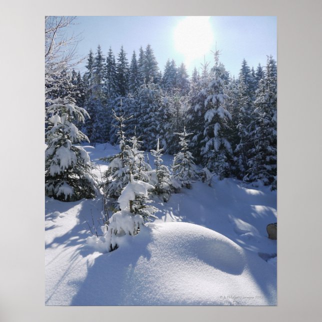 Schneekalte Winterlandschaft 2 Poster (Vorne)