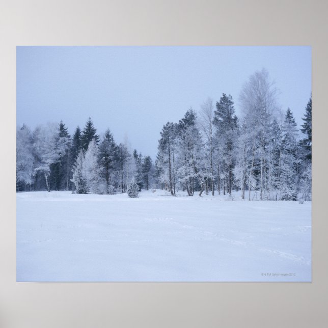 Schneekalte Winterlandschaft 8 Poster (Vorne)