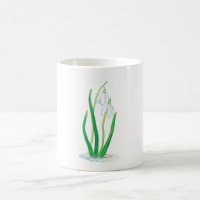 Schneekanonen (Galanthus nivalis)