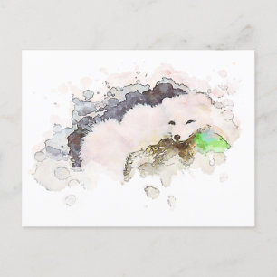 *~* Schneekarktis Weißer Polar Fox Ap18 Wildtiere Postkarte