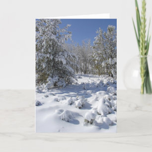 Schneekarte Winterwald Grußkarte Feiertagskarte