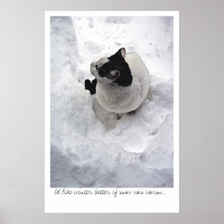 Schneekatze Poster