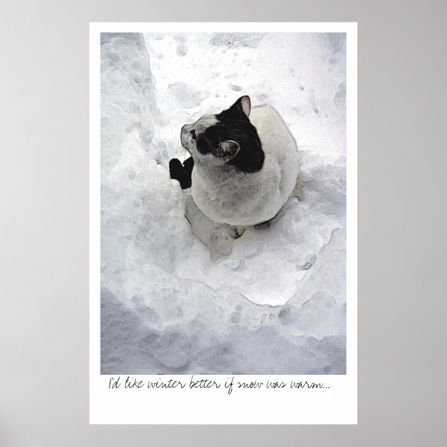 Schneekatze Poster (Vorne)