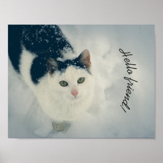 Schneekatze Poster