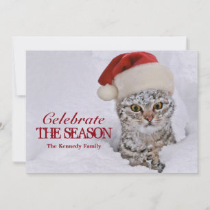 SchneeKitten mit Weihnachtsmannmütze Einladung