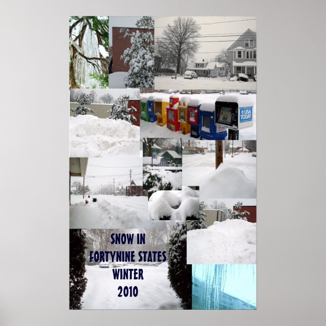 SCHNEEKOLLEGE WINTER 2010-Plakat Poster (Vorne)