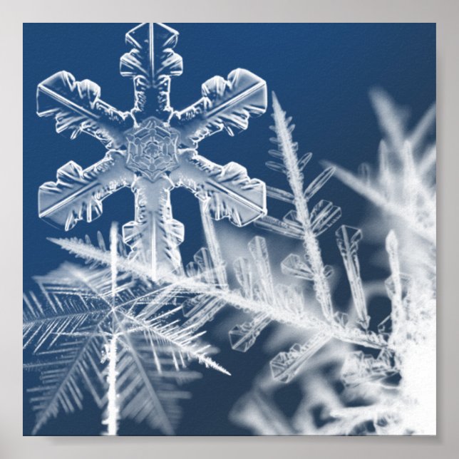 Schneekristalle Poster (Vorne)