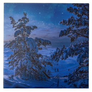 Schneeküste der Ostsee mit Tannen im Nacht- Fliese