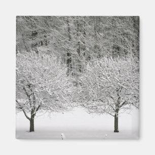 Schneelandschaft Magnet