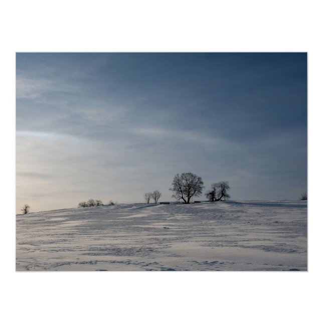 Schneelandschaft Poster (Vorderseite)