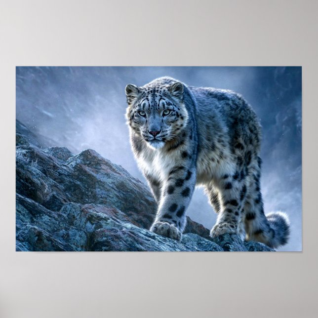 Schneeleopard auf Berggipfel – Wildtier Natur Poster (Vorne)