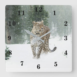 Schneeleopard Quadratische Wanduhr