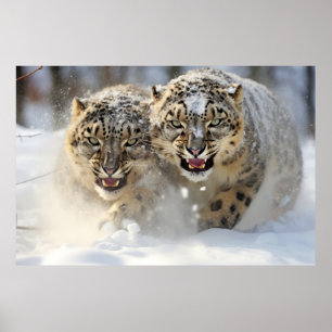 Schneeleopard Tierart Majestic Wild Poster