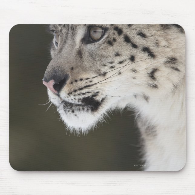 Schneeleopard (Uncia uncia) Mousepad (Vorne)