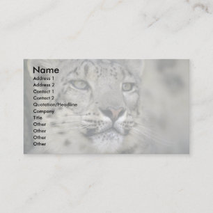 Schneeleopard Visitenkarte