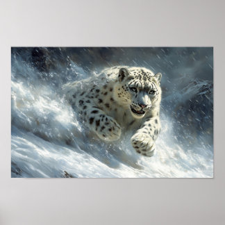 Schneeleopard Wildtier Natürliche Umgebung Poster