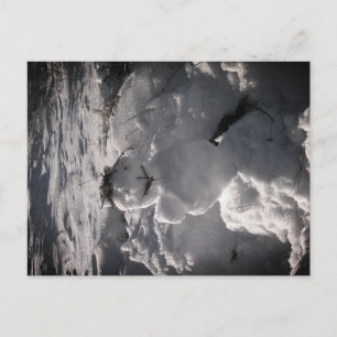 Schneemann-Foto-Postkarte Postkarte