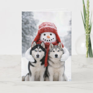 Schneemann umarmt sibirische Huskys an Weihnachten Karte