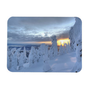 Schneemassen bei Sonnenuntergang im Pfahlfisch-Geb Magnet