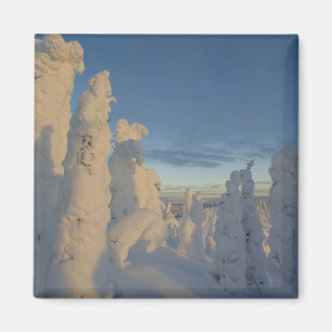 Schneemassen bei Sonnenuntergang im Whitefish Moun Magnet