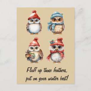 Schneemeister Geist: Eulen in Winterwärme Postkarte