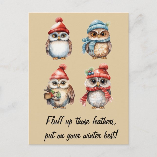 Schneemeister Geist: Eulen in Winterwärme Postkarte (Vorderseite)