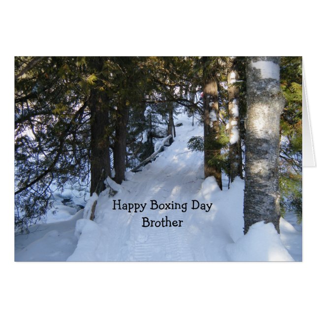 Schneemobil (Vorderseite (Horizontal))