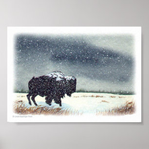 Schneemusterte Bison-Malerei Poster