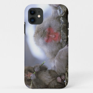 Schneenaffen-Mutter und Kind, Jigokudani, Nagano, Case-Mate iPhone Hülle