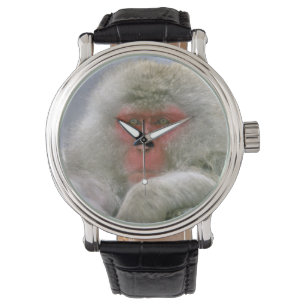 Schneenaffen-Paar, Japanmakak, Armbanduhr