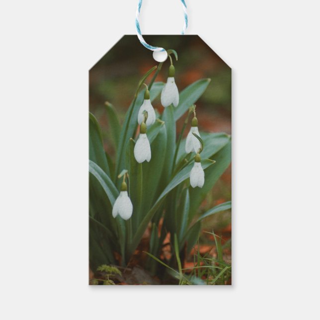 Schneeopfmarken Geschenkanhänger (Vorderseite)