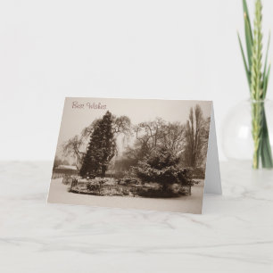 Schneepark Landschaft Weihnachten