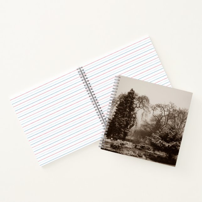 Schneepark und Baumlandschaft im Winter Notizbuch (Innenseite)