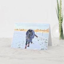 Schneepferd-Grußkarte